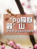 pg模拟器