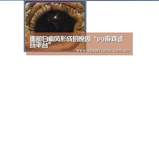 pg游戏试玩平台